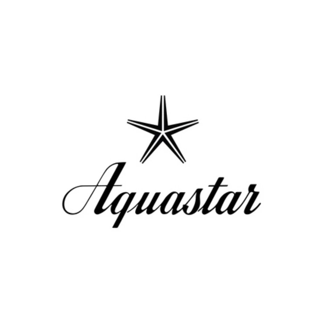 Aquastar Logo Vintage Watches for sale in the Vintage Watch Leader Shop